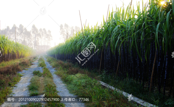 田園風(fēng)光