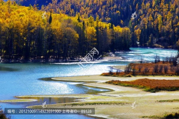 喀納斯秋景