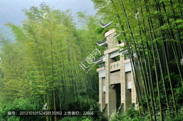 茶山竹海