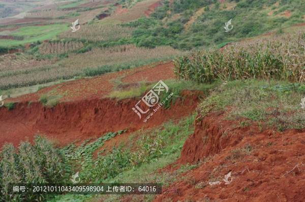 種植業(yè)