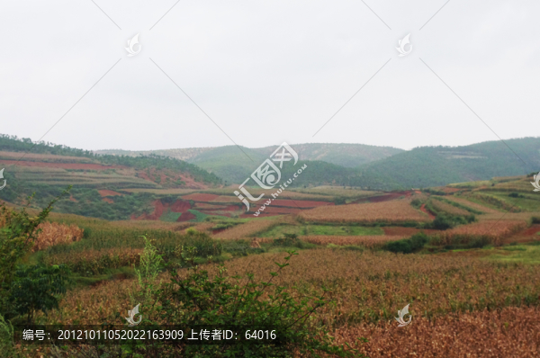 山地
