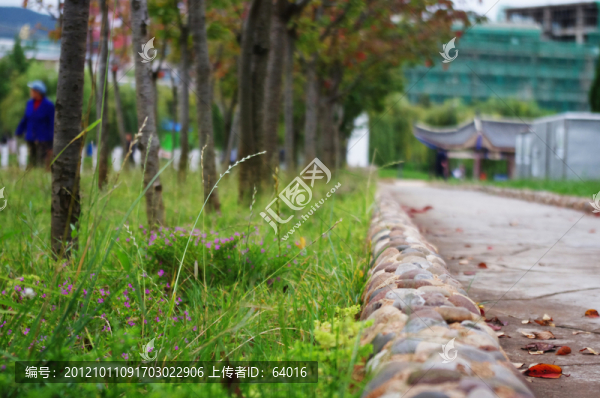 道路