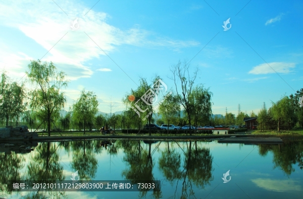 綠樹(shù)