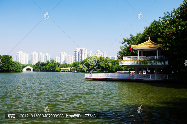 深圳荔枝公園荔湖風(fēng)光