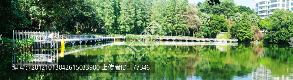 深圳荔枝公園釣魚區(qū)風(fēng)景