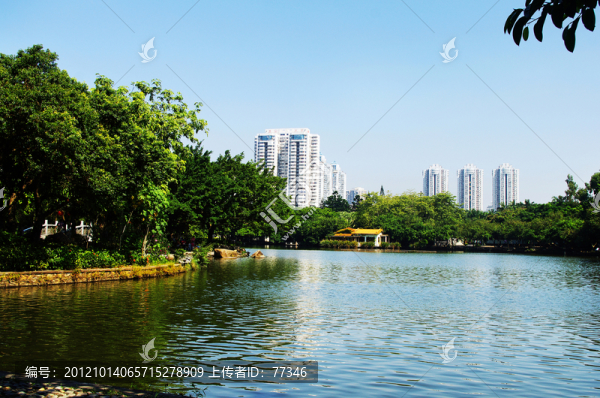 深圳荔枝公園荔湖風光
