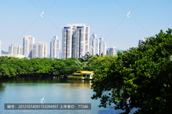 深圳荔枝公園荔湖風(fēng)光