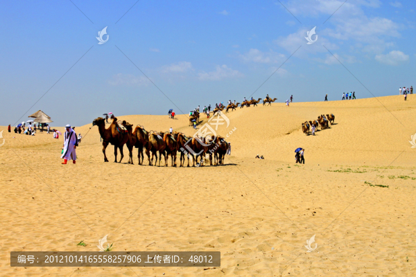 沙湖生態(tài)旅游區(qū)