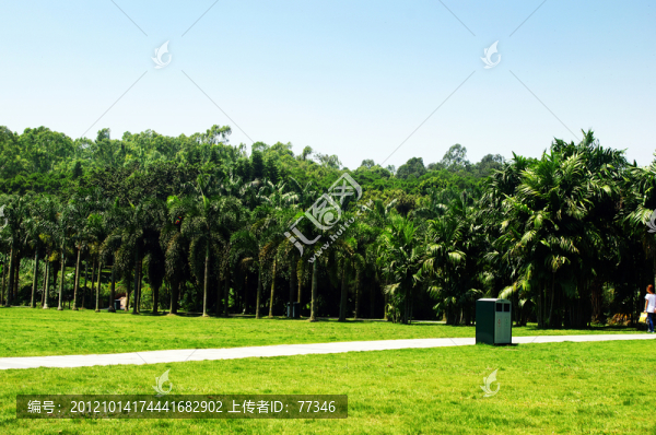 深圳蓮花山公園風(fēng)光