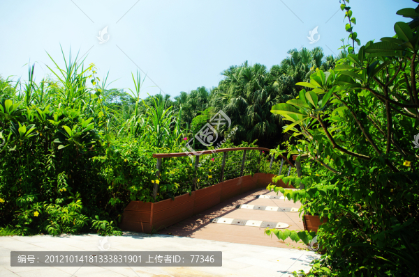 深圳蓮花山公園景區(qū)