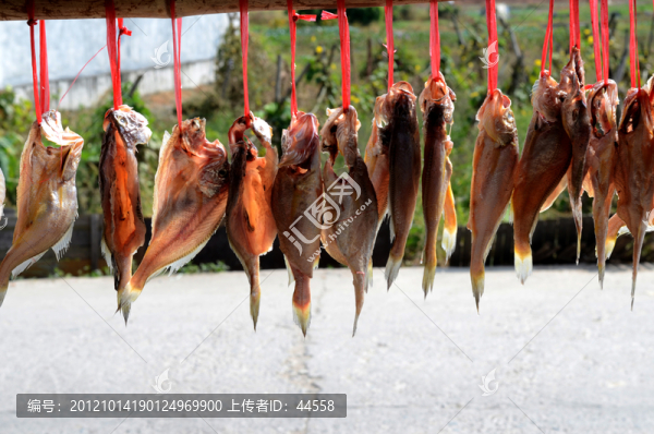 魚(yú)干