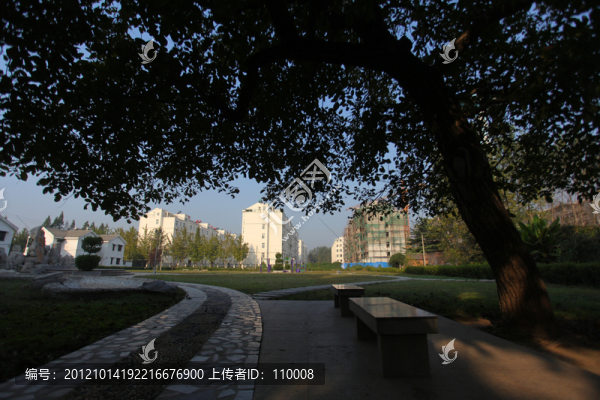 新農(nóng)村