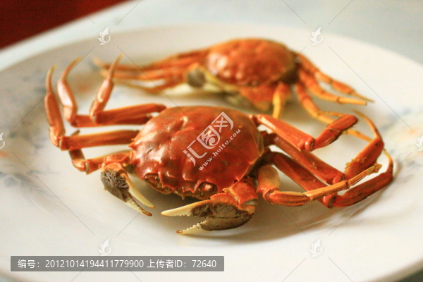 螃蟹