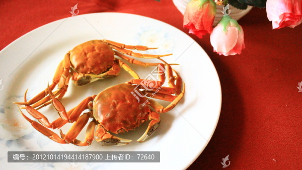 螃蟹