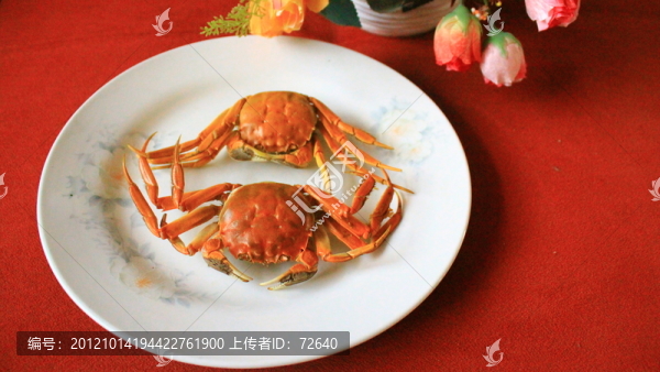 螃蟹