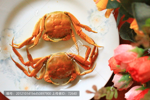 螃蟹