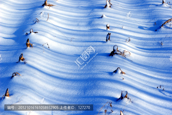 雪譜