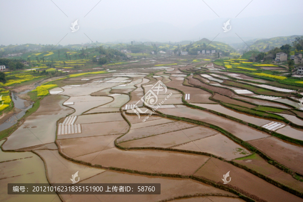 重慶,山區(qū)梯田