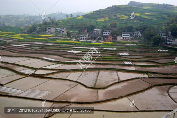 重慶,山區(qū)農(nóng)田-匯圖網(wǎng) www.fosd68.com 重慶,山區(qū)農(nóng)田