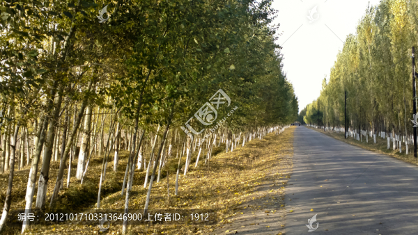 鄉(xiāng)間小路