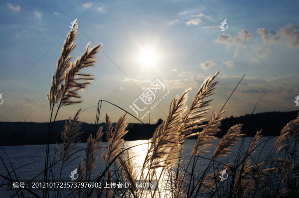 瀟湘水庫(kù)