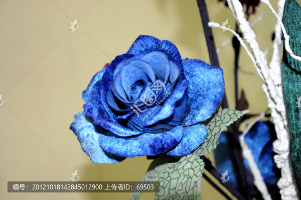 裝飾花卉