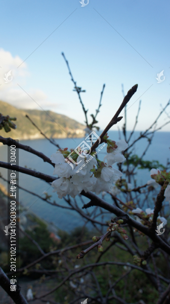 意大利五漁村