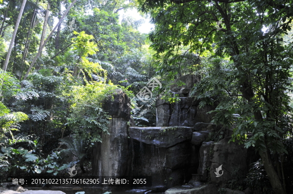 越秀公園,山澗