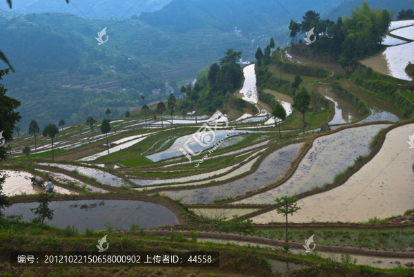 梯田