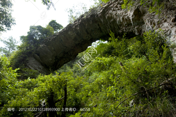 仙人橋