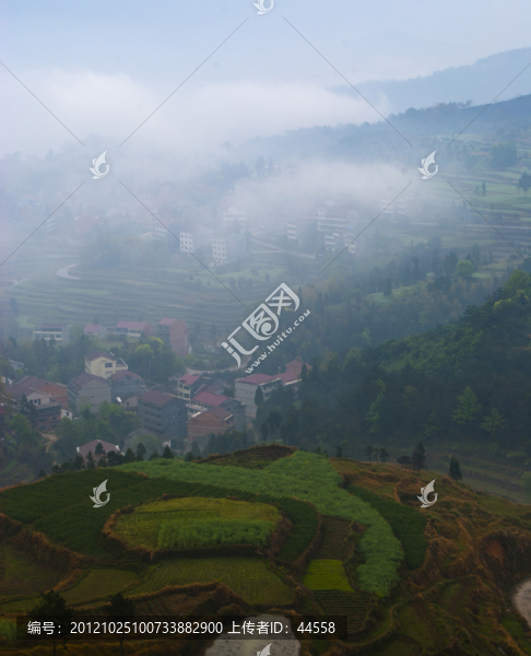 農(nóng)村風(fēng)光