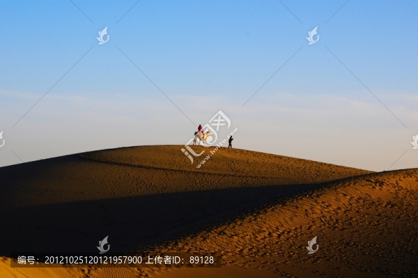 沙丘,駱駝,人
