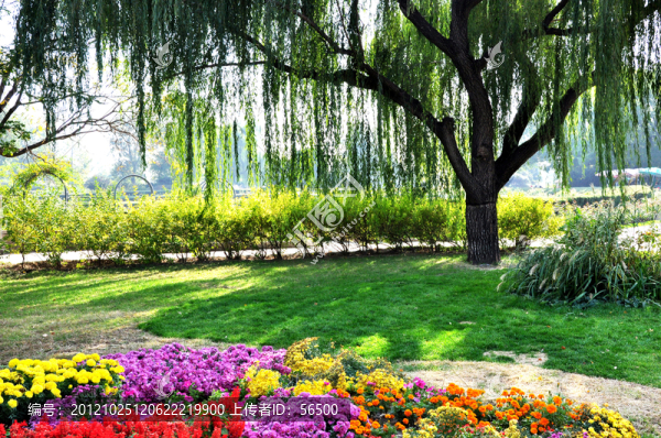 北京植物園