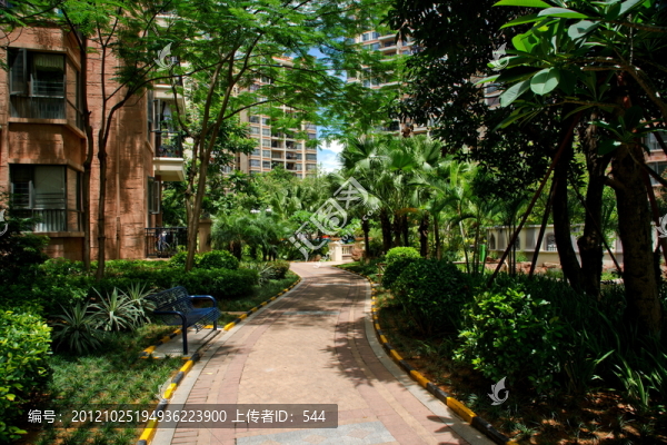 園林住宅道路