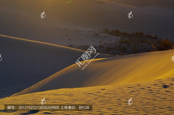 沙漠光影