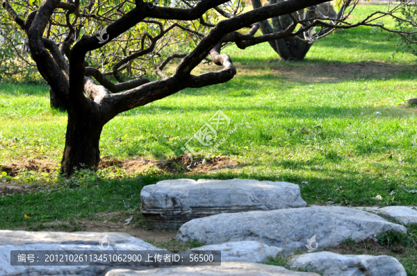 公園一角