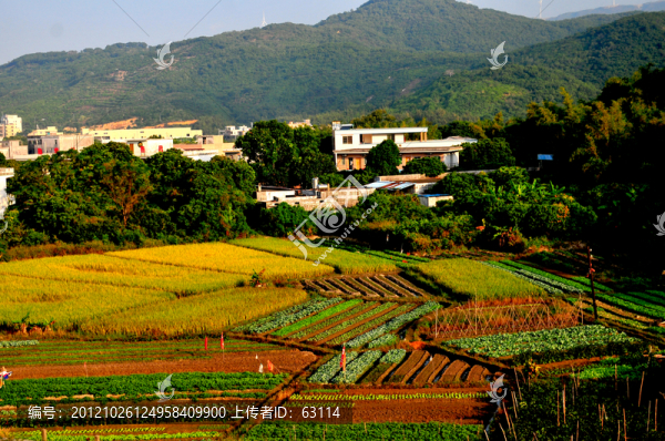 田園風光,農(nóng)田