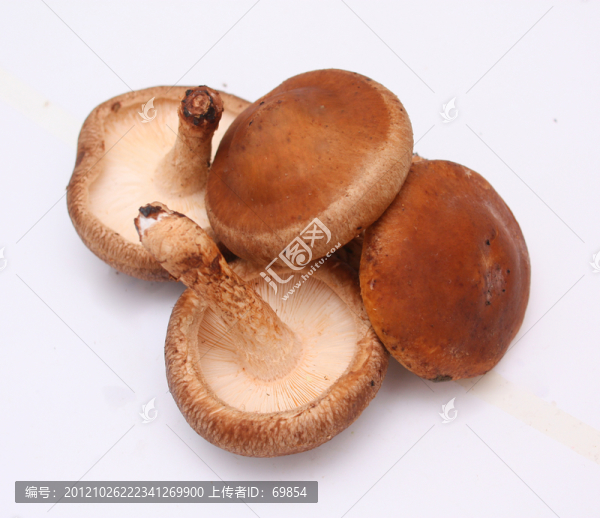 香菇