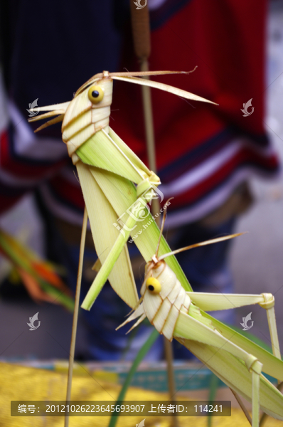 草編作品,蚱蜢
