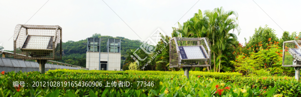 深圳市民廣場(chǎng)綠化景觀