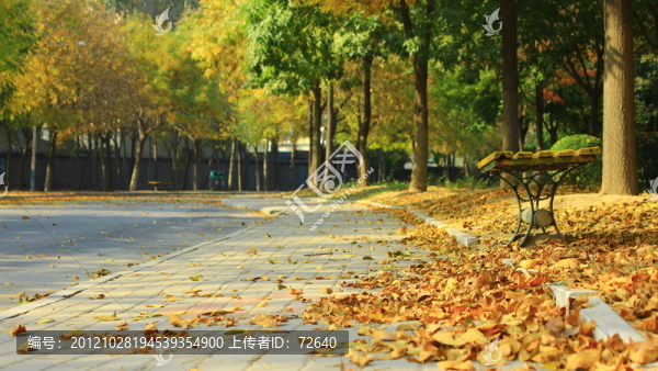 秋景