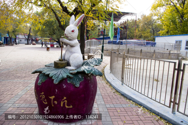 生肖兔