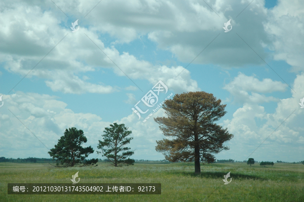 草原美景