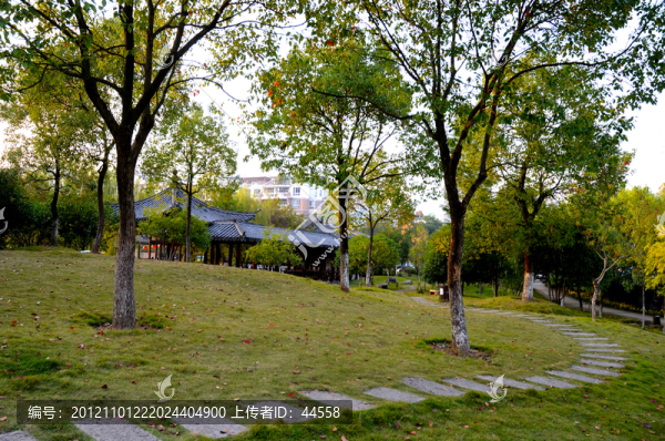 城市公園