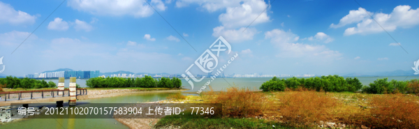 深圳灣風(fēng)光