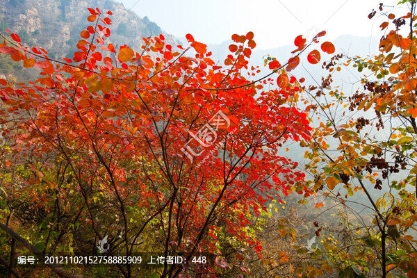 石林峽秋天