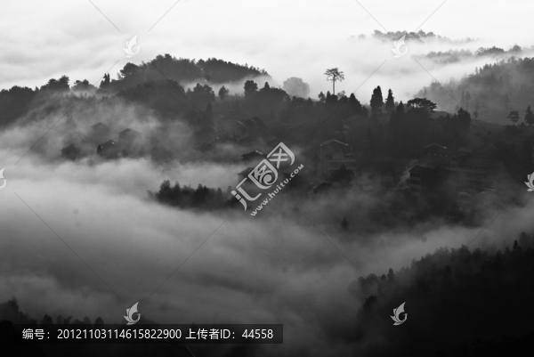水墨茗岙