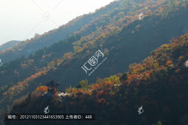 香山紅葉