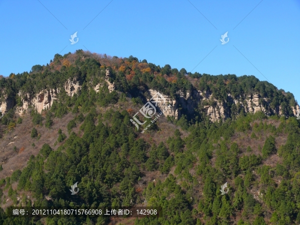 山林