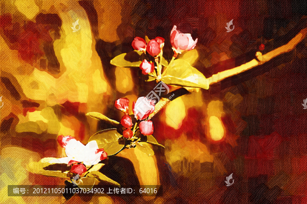 海棠花